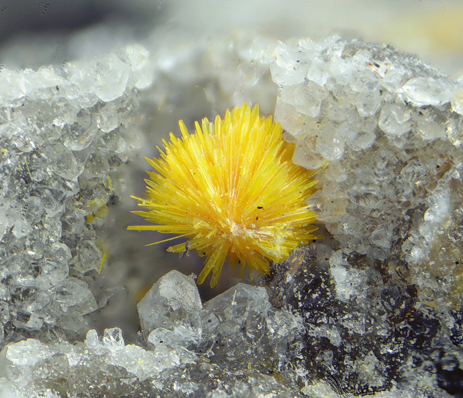 Kasolita.
Campo de visión de 2 mm.
(Autor: Antonio Carmona)