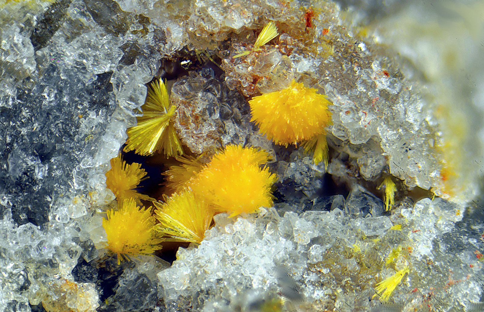 Kasolita.
Campo de visión de 2 mm.
(Autor: Antonio Carmona)