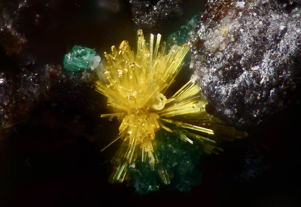 Kasolita
1 mm. aprox.
(Autor: Jose F. Castro Medina)
