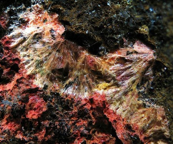 Kenhsuita
campo 1 cm.
(Autor: Adrian Pesudo)