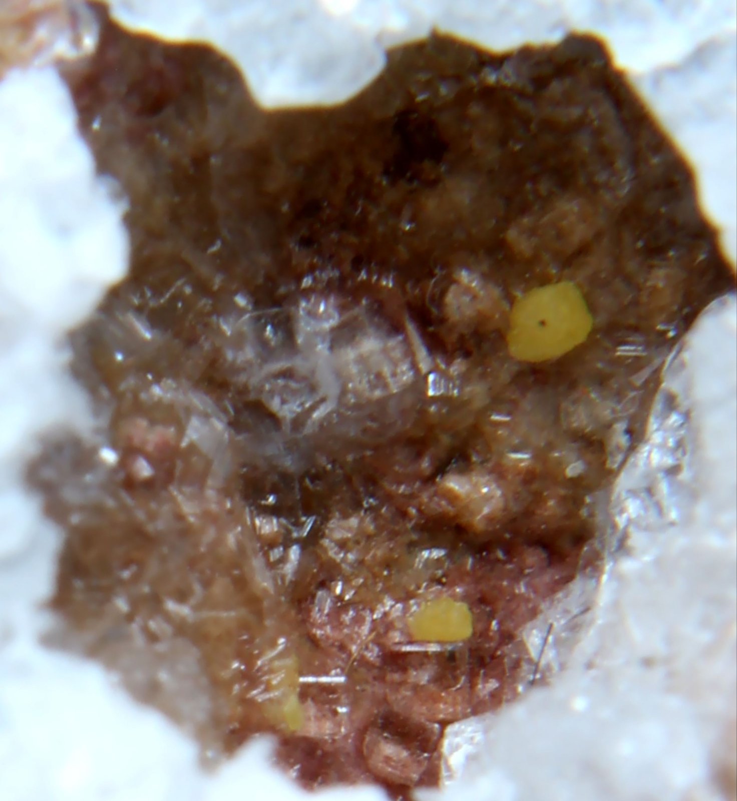 Kleinita
< 1 mm
(Autor: José Luis Zamora)