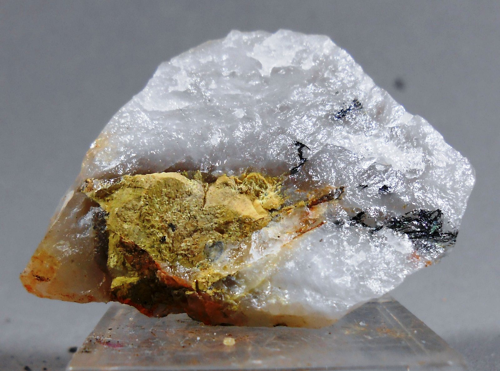 Koechlinita
40x31 mm.
(Autor: Juan Espino)