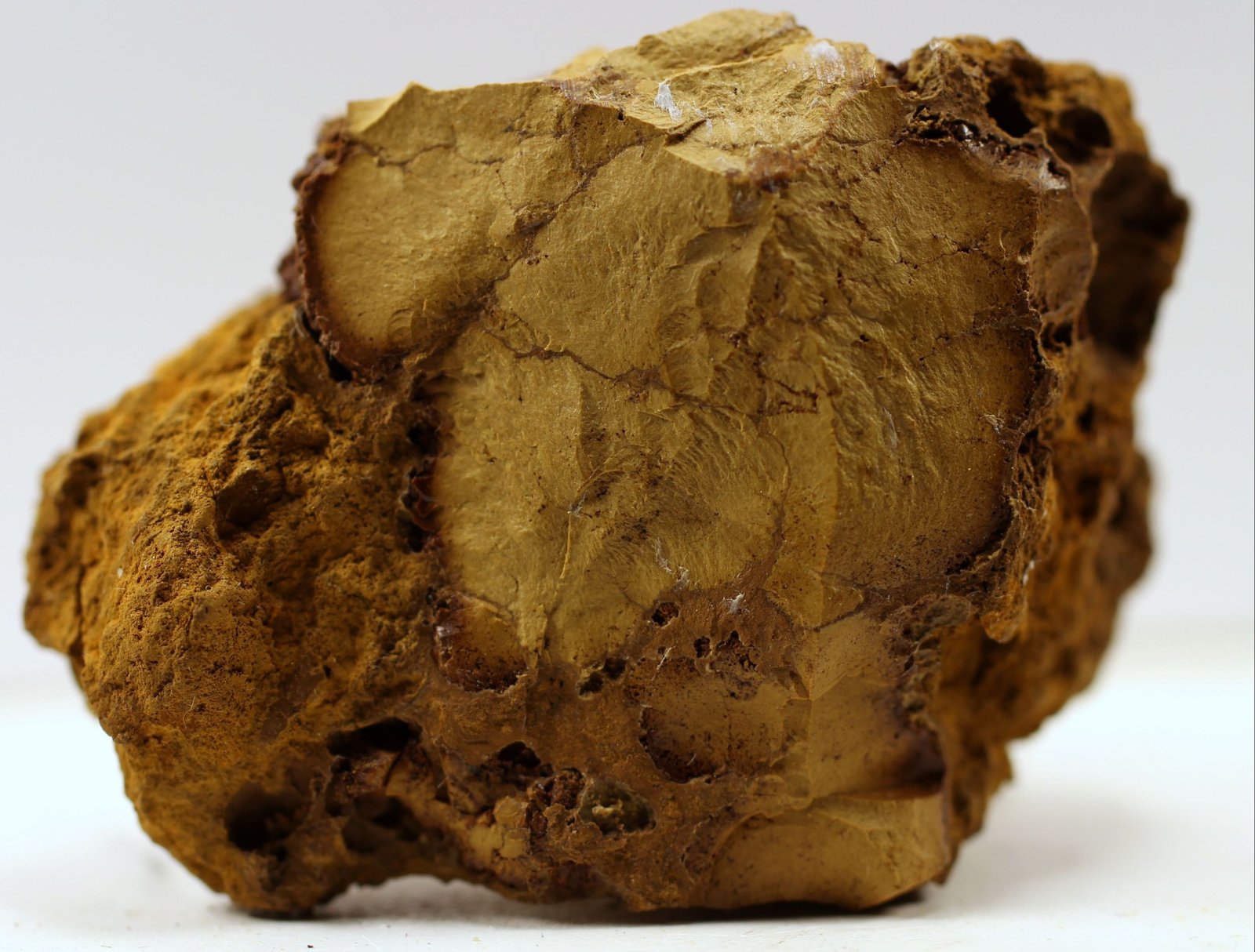 Koninckita
41 x 30 x 21 mm.
(Autor: José Luis Zamora)