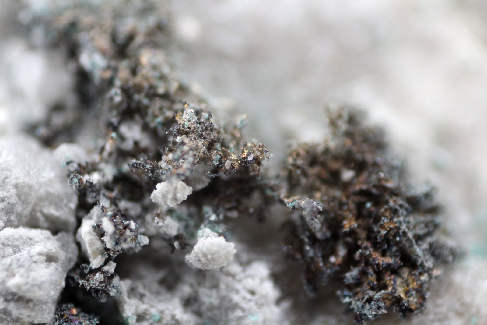 Plata (variedad kongsbergita)
28 x 12 x 8 mm.
(Autor: José Luis Zamora)