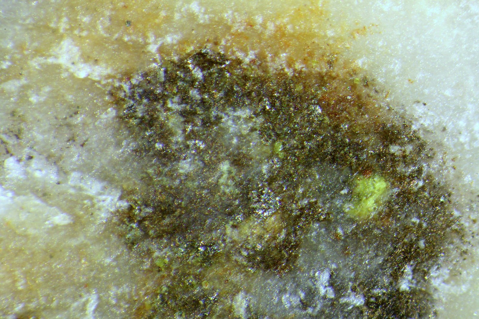 Krennerita
4x3,5x2 cm.
(Autor: Nacho)