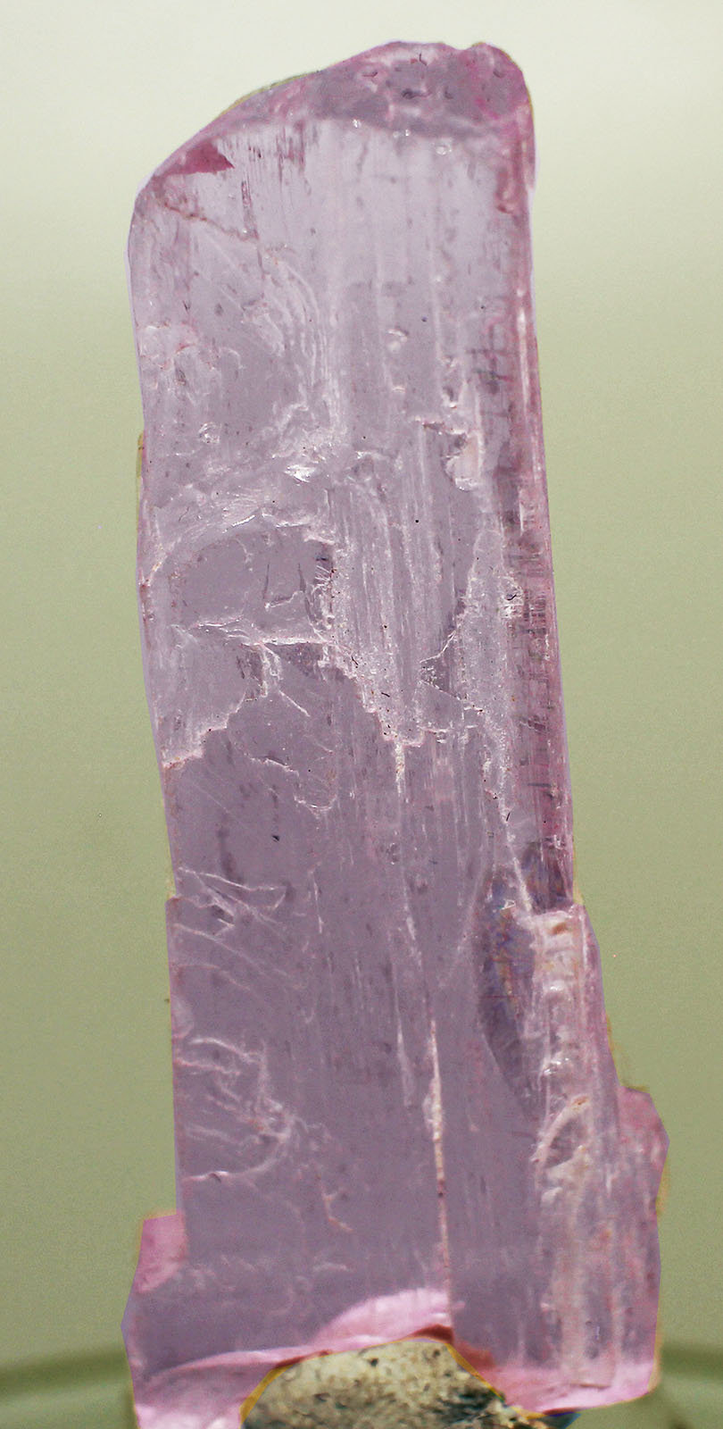 Espodumena (variedad kunzita)
5x1.5x0.5 cm
(Autor: Luis Edmundo Sánchez Roja)