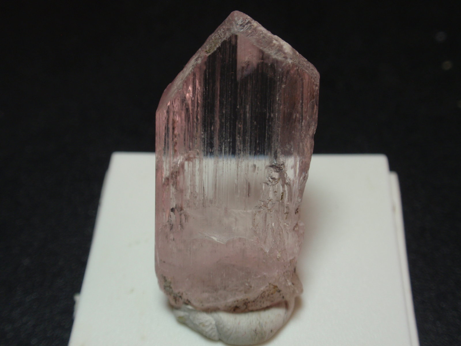 Espodumena (variedad kunzita)
15x30 mm
(Autor: Ignacio)