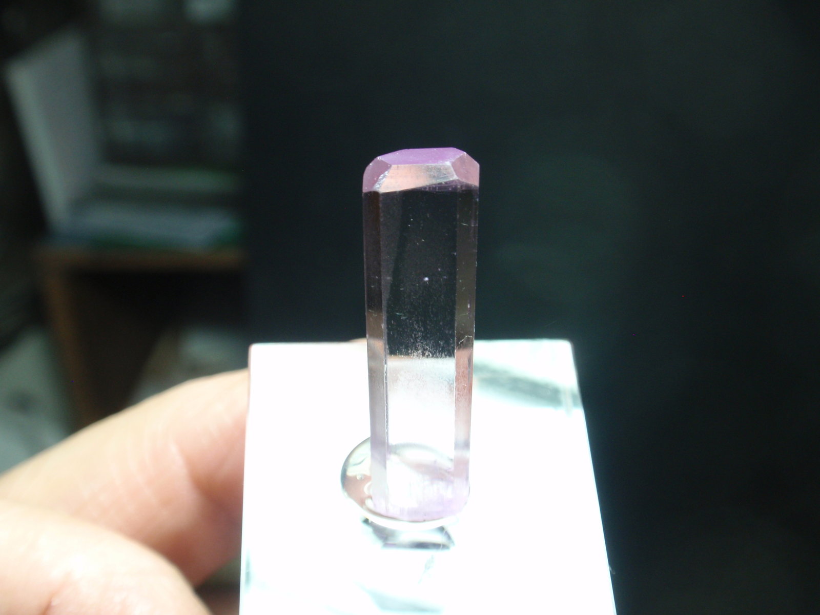 Espodumena (variedad kunzita)
10x30 mm
(Autor: Ignacio)