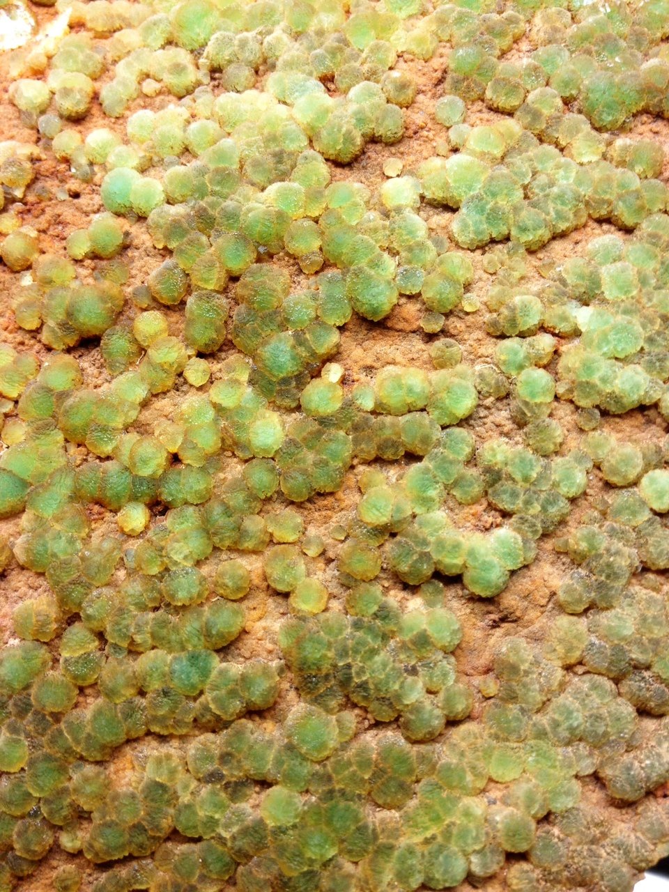 Fluorita
Campo de visión 8 x 10 cm
(Autor: Emilio Téllez)