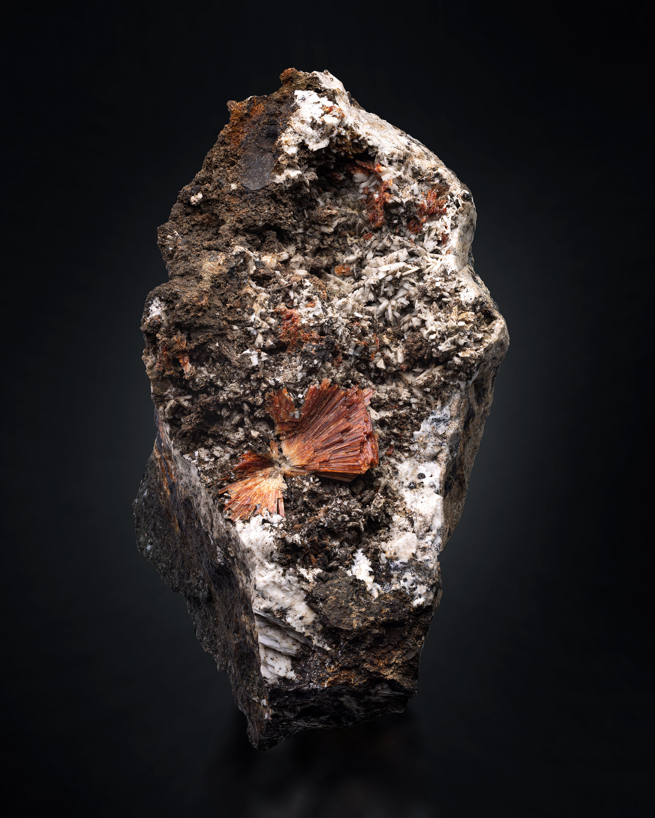 Labuntsovita-Mn con Albita y Natrolita
8 x 13 x 8 cm / cristal principal: 2 cm
(Autor: Museo MIM)