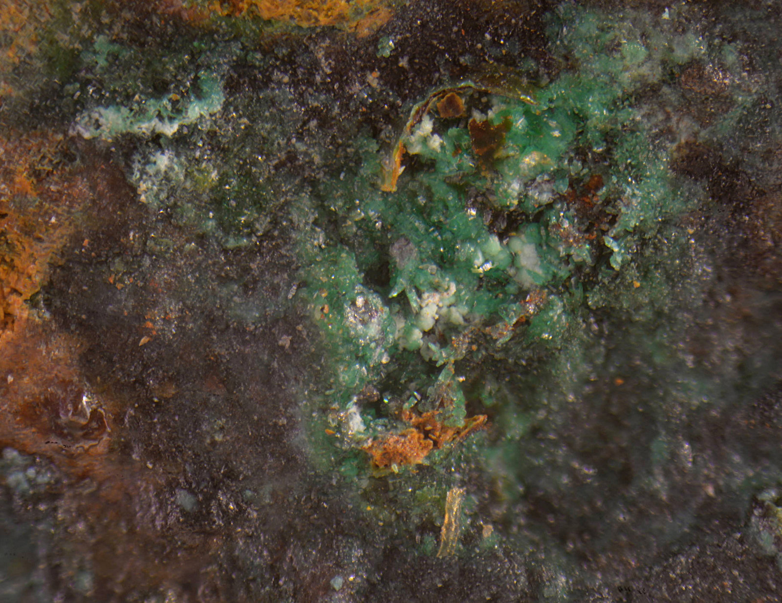 Langita
Campo de visión 3 mm
(Autor: Antonio Carmona)