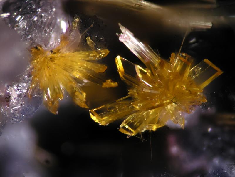 Laueita
FOV 1 mm
(Autor: Cesar M. Salvan)