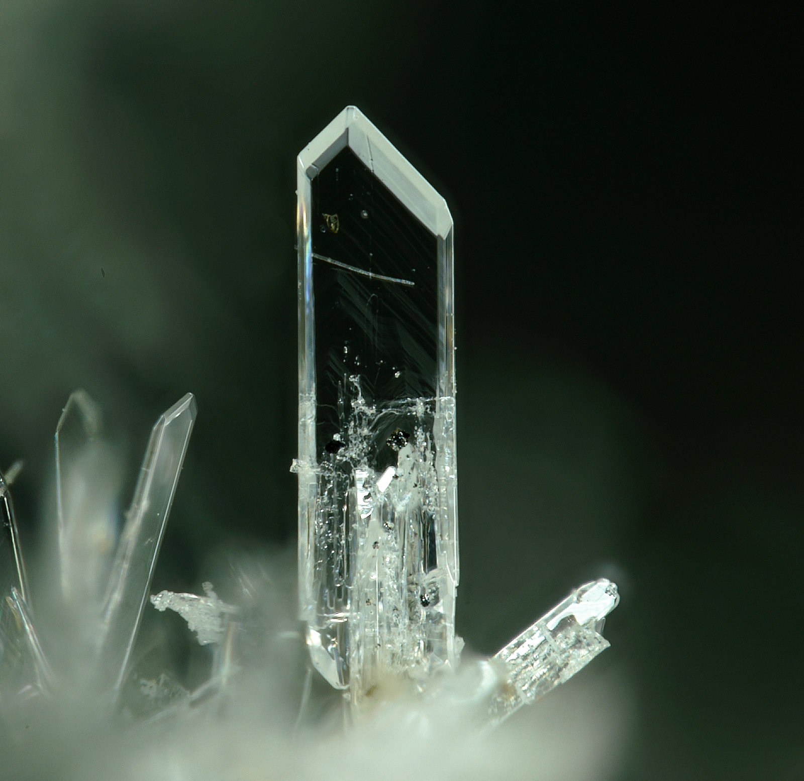 Laurionita
Campo de visión 0,6 mm.
(Autor: Antonio P. López)