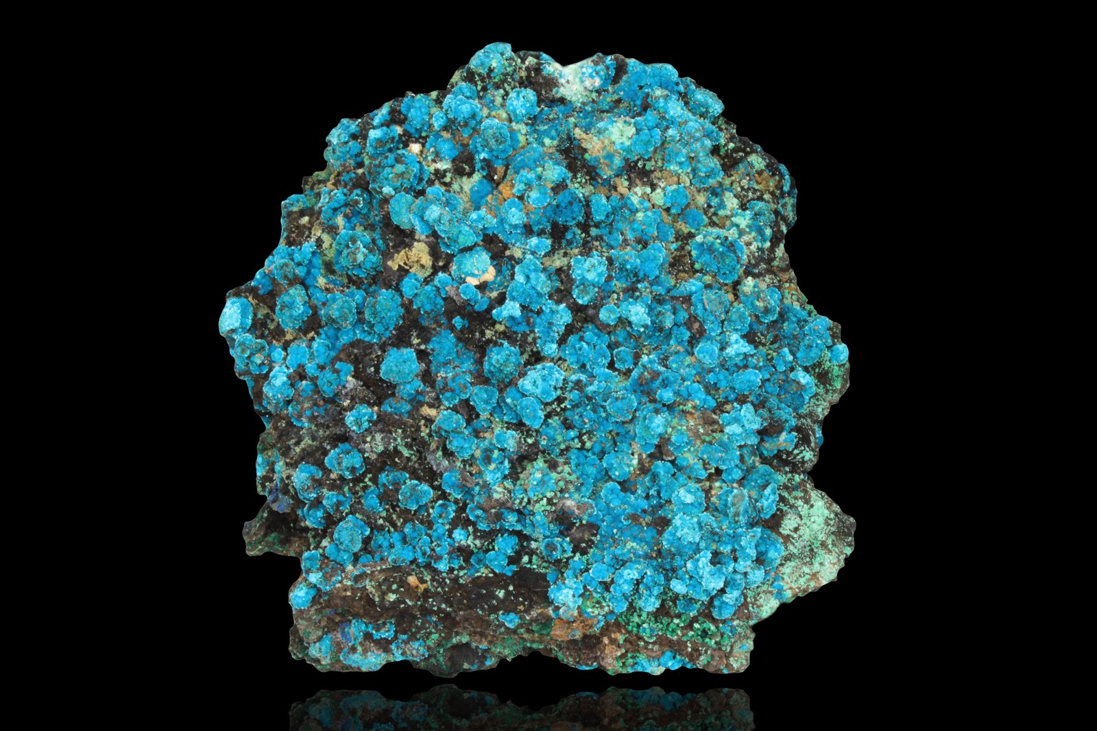 Lavendulana
9 x 9 x 3 cm
(Autor: Museo MIM)