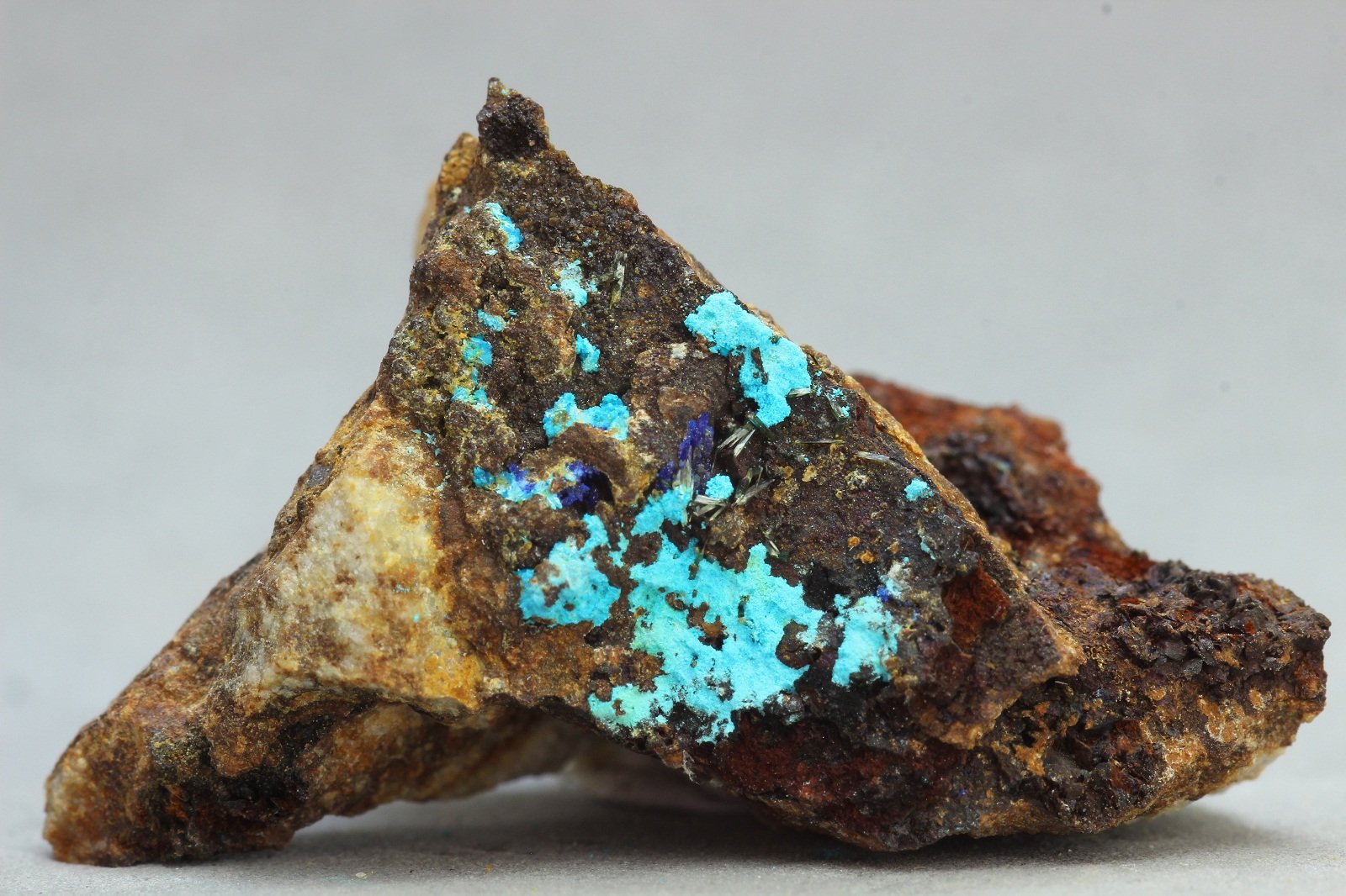 Lavendulana
30x19 mm
(Autor: Juan Espino)