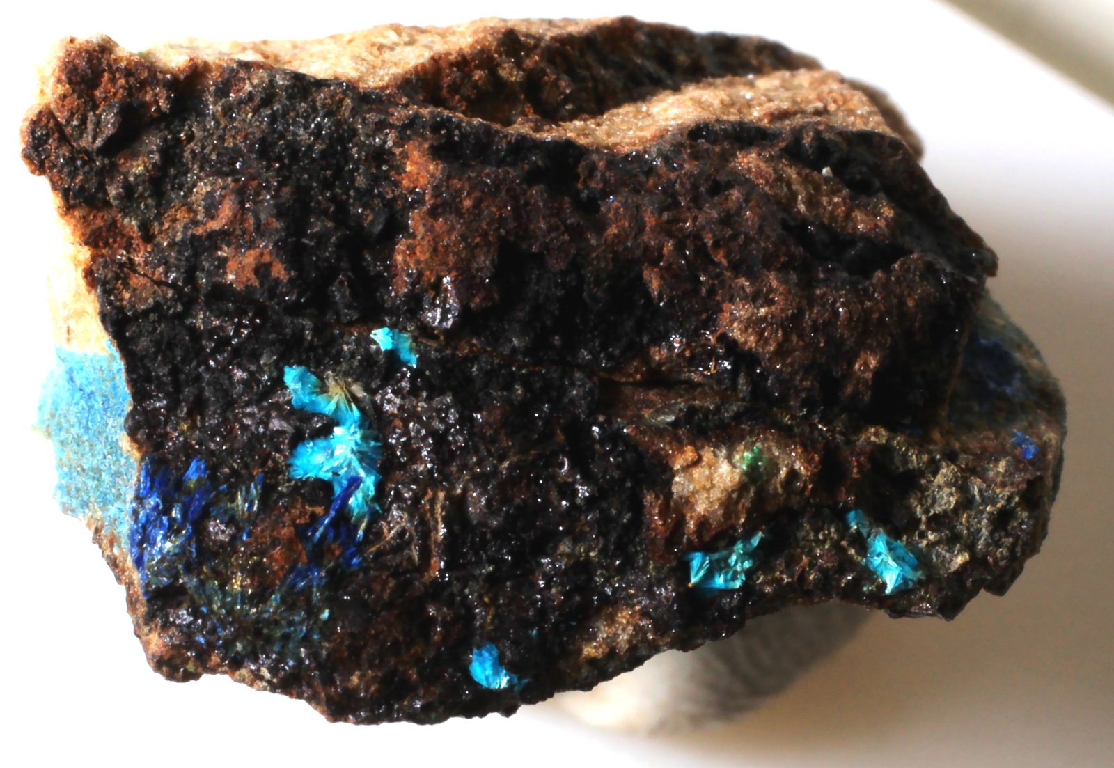 Lavendulana
21 x 21 x 11 mm
(Autor: José Luis Zamora)