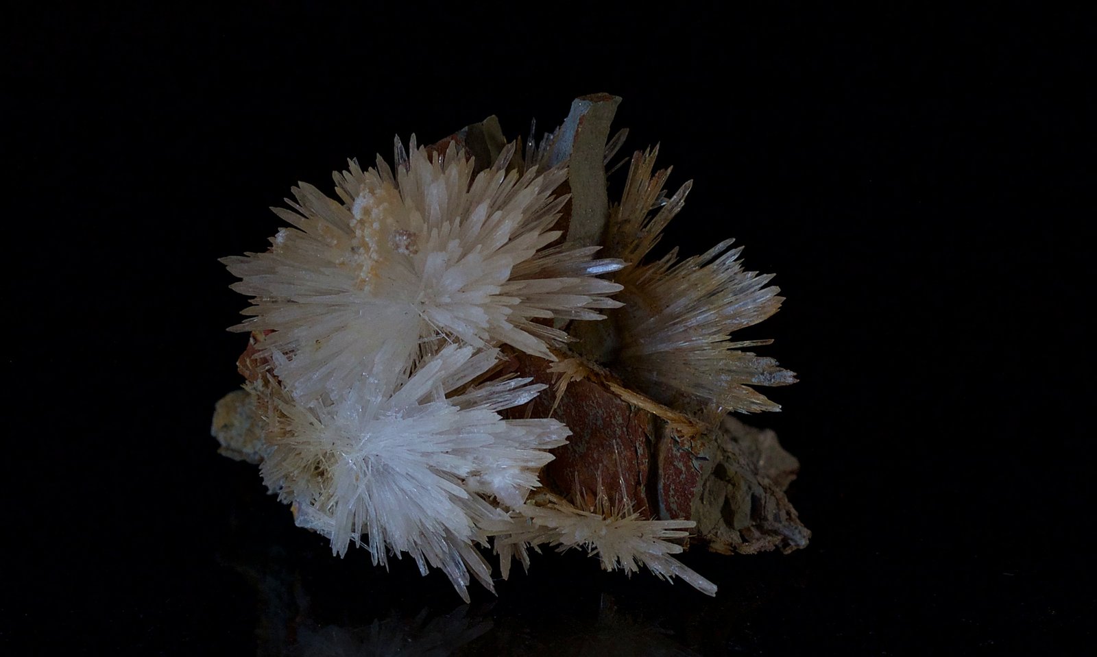Aragonito
4.5x 3.5 cm rosetas de 1.5 cm aproximadamente
(Autor: Ángel Rodríguez Benavent)