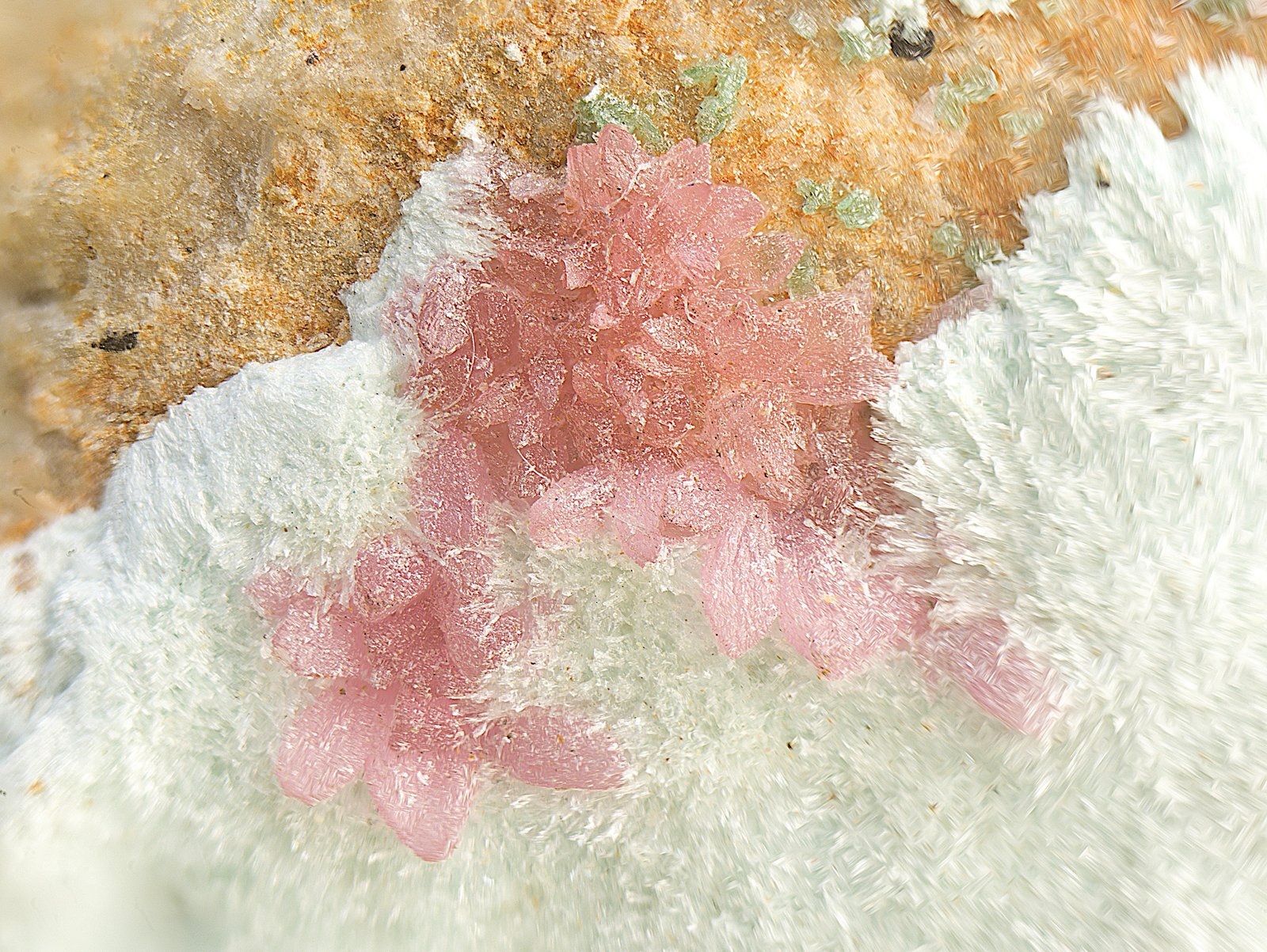 Adamita
Campo de visión de 5 mm.
(Autor: Antonio Carmona)
