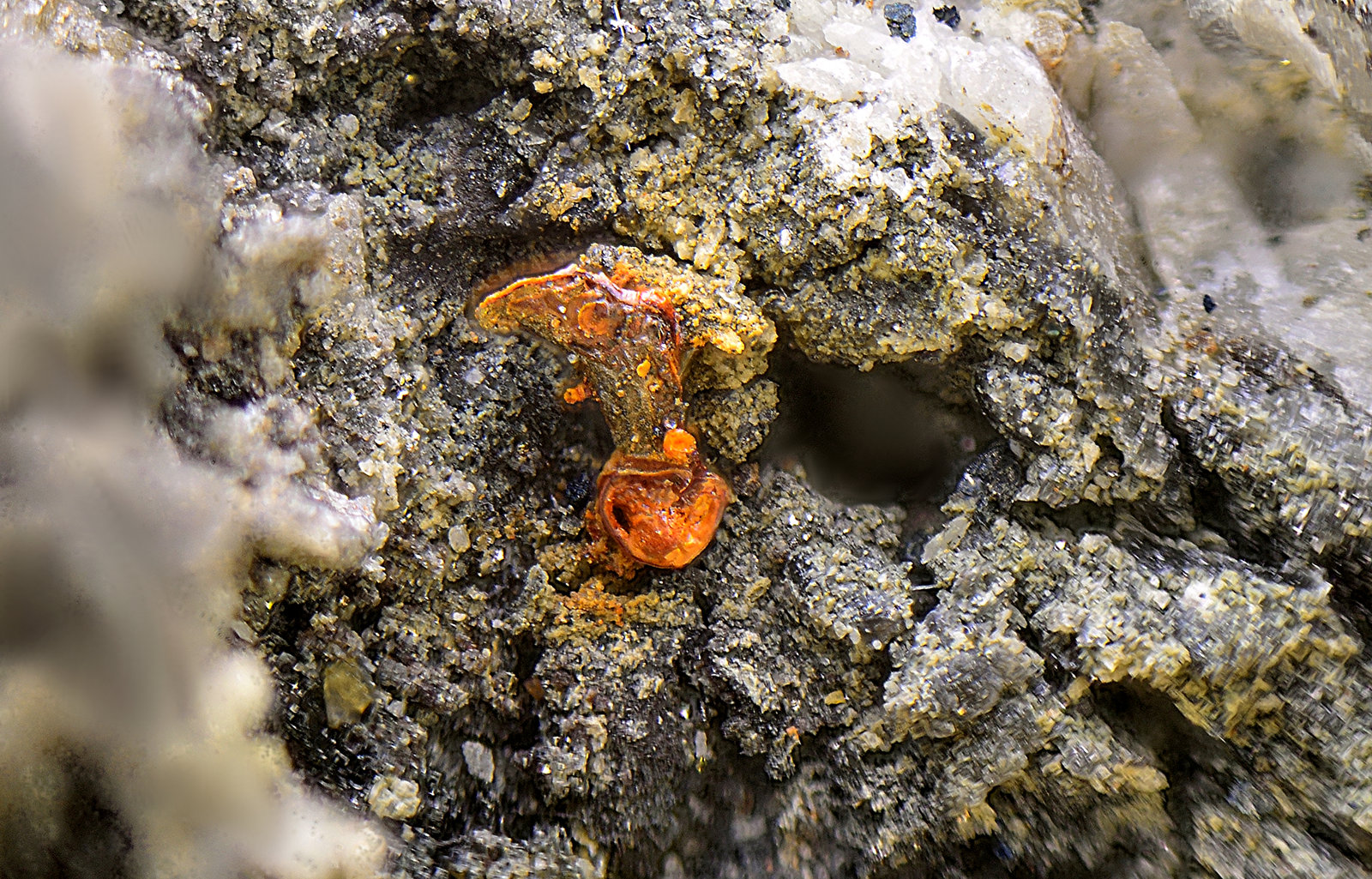 Plata
Campo de visión de 2 mm
(Autor: Antonio Carmona)
