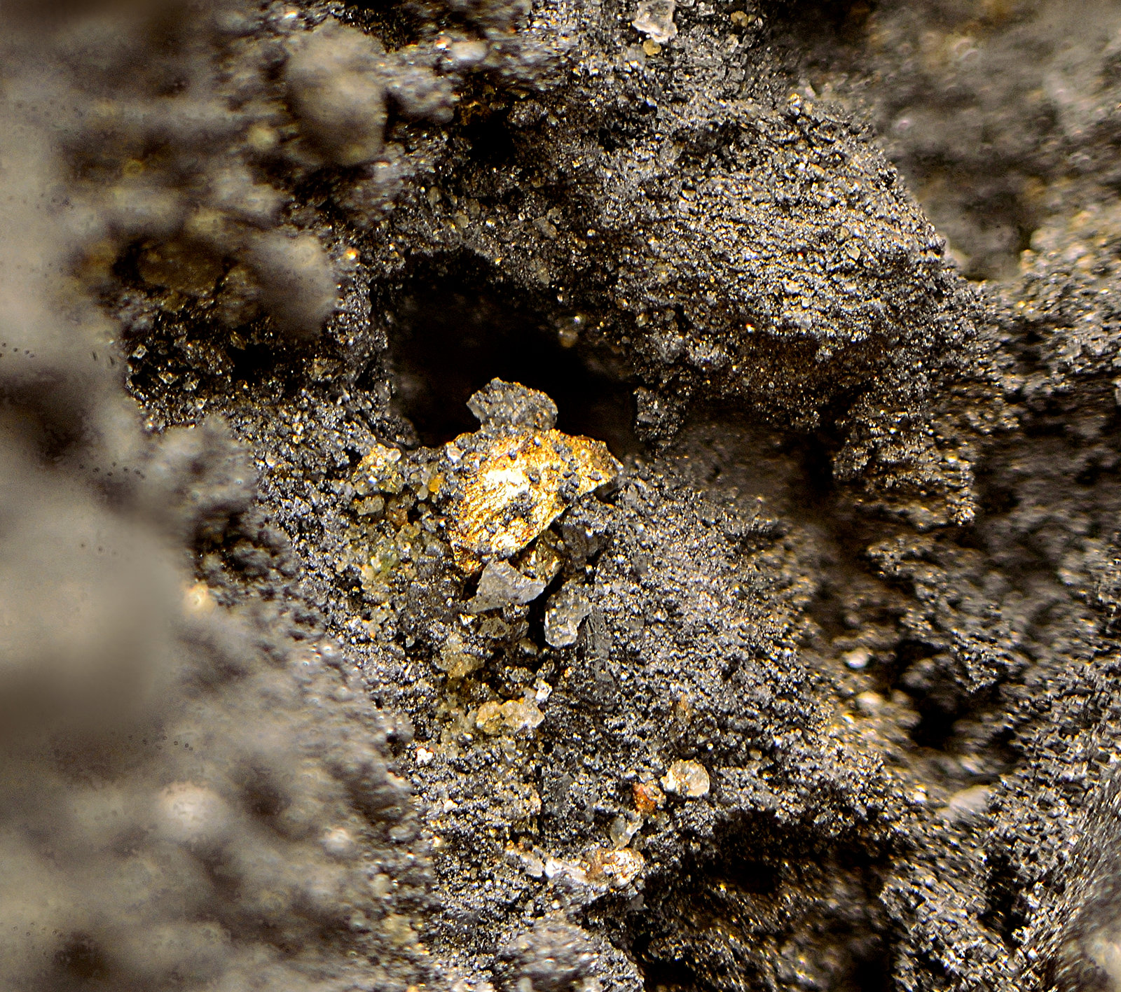 Oro
Campo de visión de 2 mm
(Autor: Antonio Carmona)