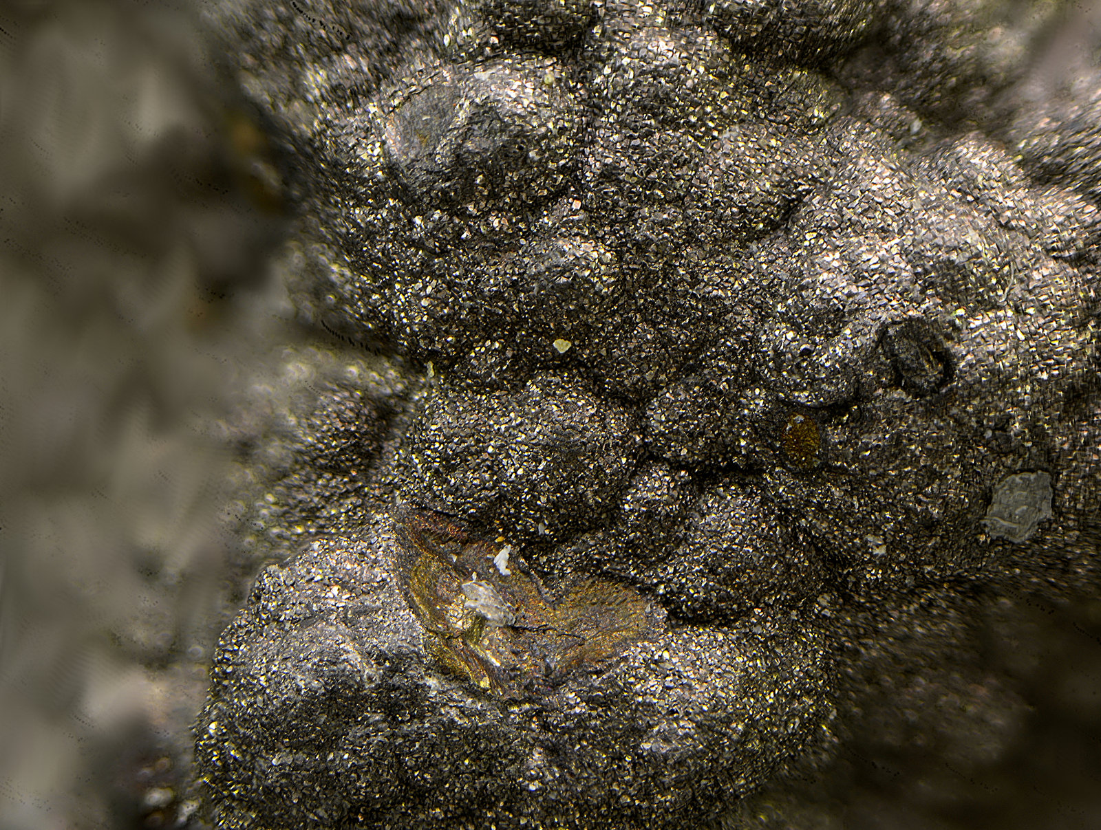 Luzonita
Campo de visión de 2 mm.
(Autor: Antonio Carmona)