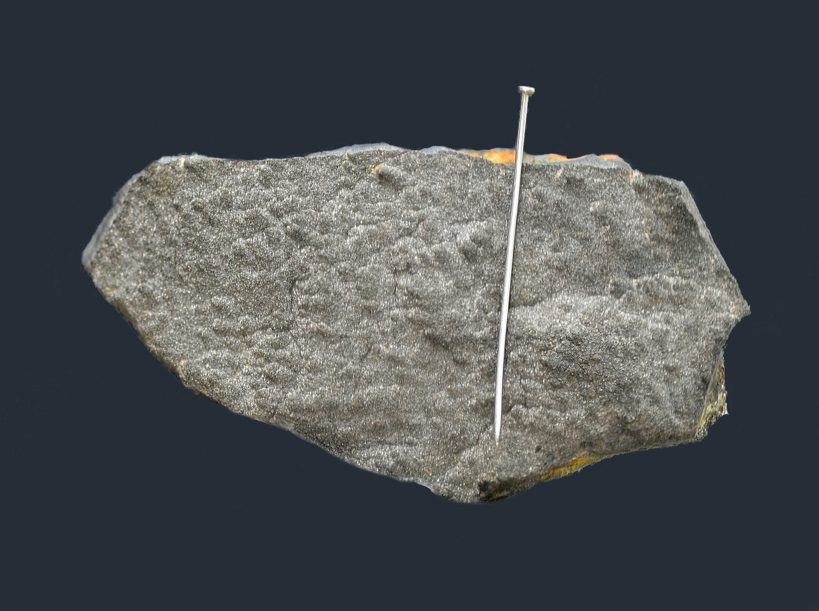 Greigita
56x30x10mm
(Autor: Antonio Carmona)