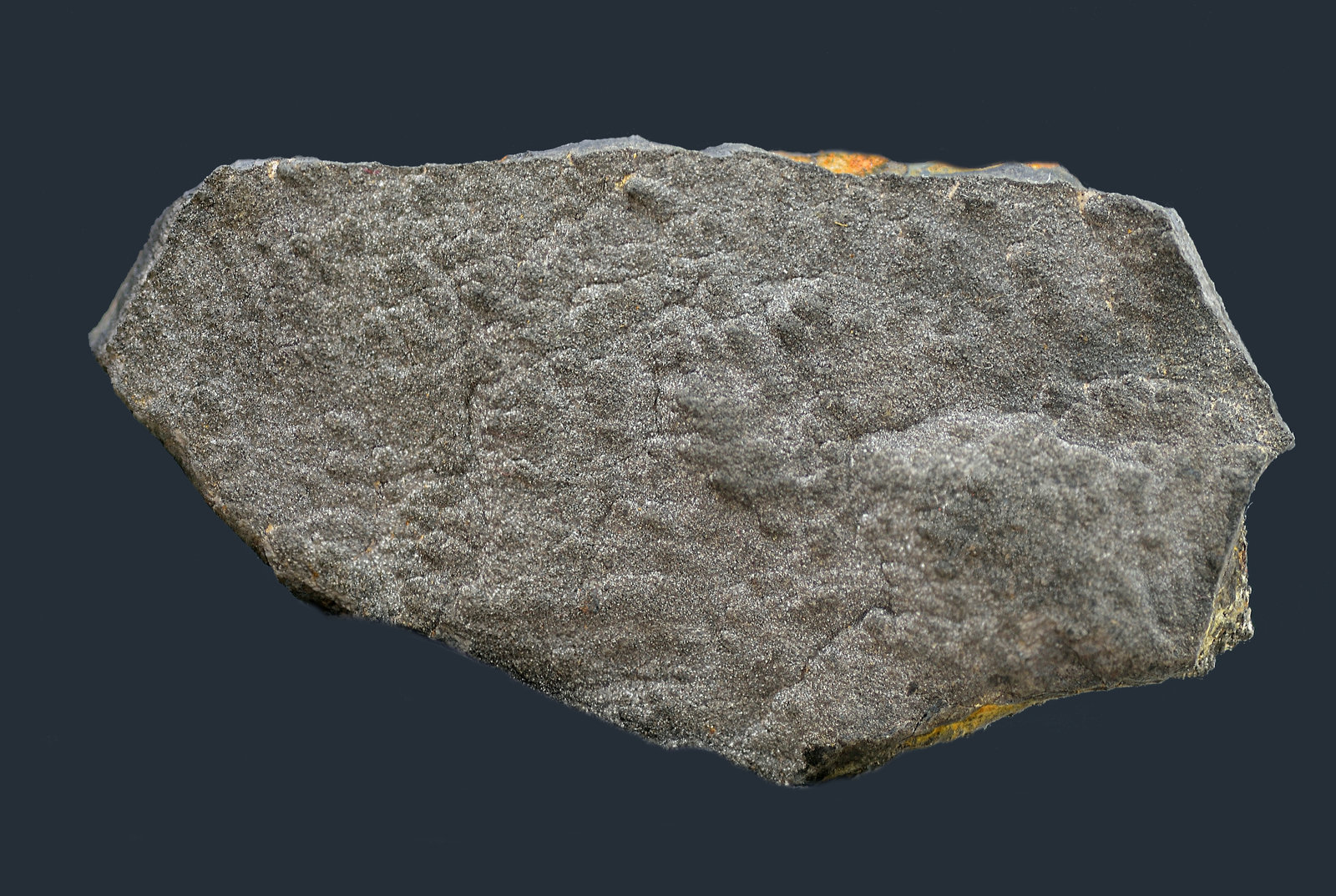 Greigita
56x30x10mm
(Autor: Antonio Carmona)