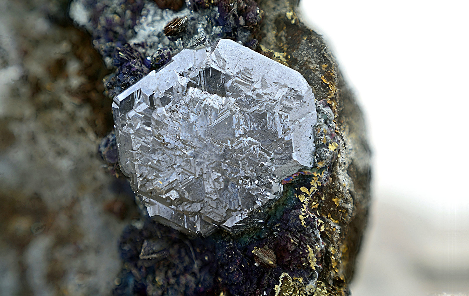Calcosina sobre Calcopirita recubierta de Bornita
Cristal de 11 mm
(Autor: Antonio Carmona)