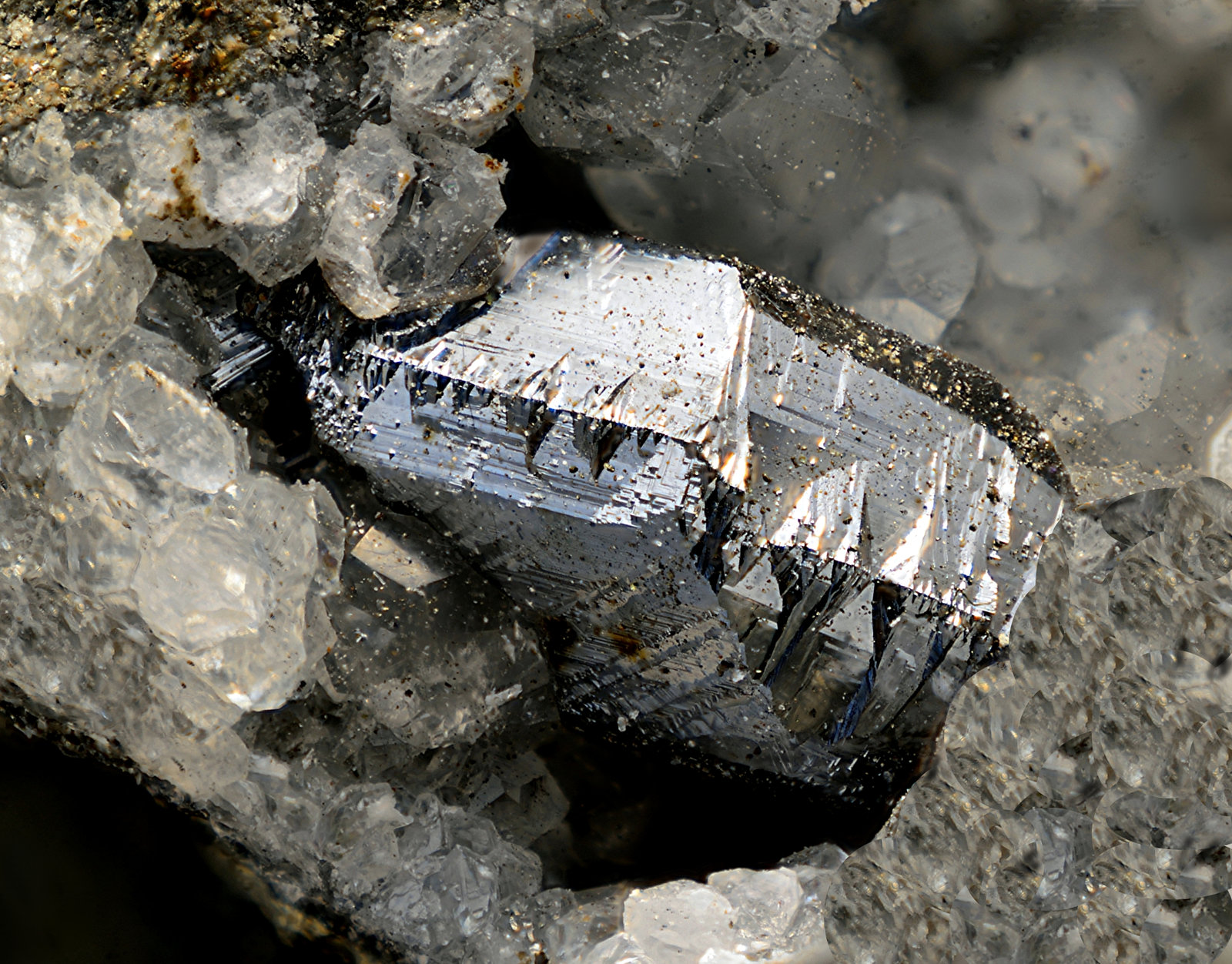Calcosina
Cristal de 5 mm
(Autor: Antonio Carmona)