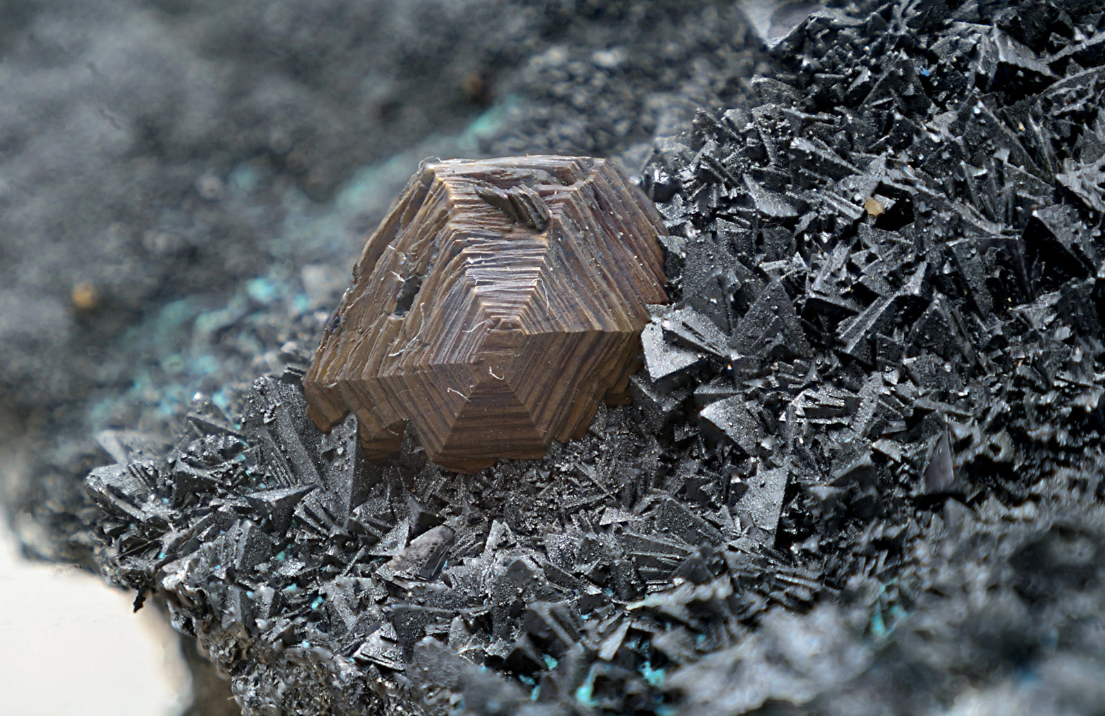 Calcosina sobre Tennantita-(Fe)
Cristal de 6 mm
(Autor: Antonio Carmona)