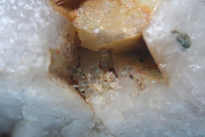 Fluorapatito
Ancho de imagen 4cm
(Autor: minero1968)