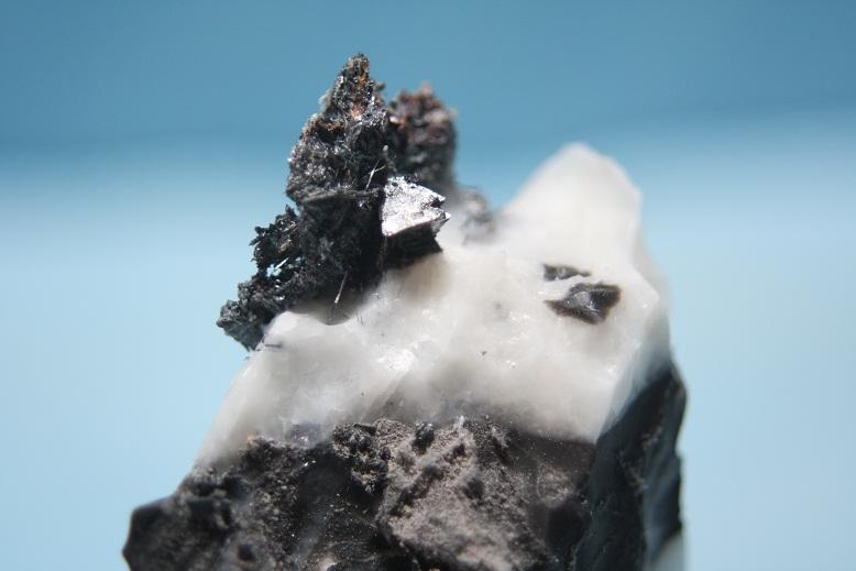 Tetraedrita
Cristal de 5 mm
(Autor: minero1968)