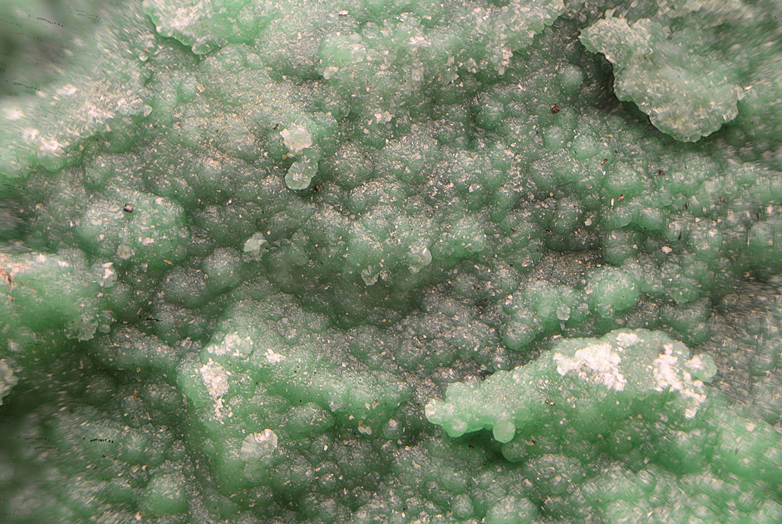 Annabergita
Campo de visión de 5 mm.
(Autor: Antonio Carmona)