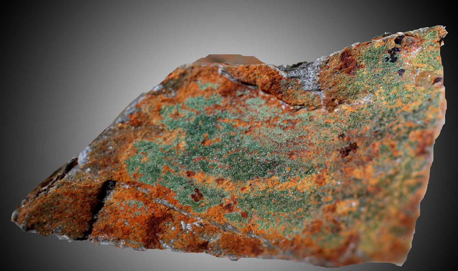 Libethenita
38 x 21 x16 mm
(Autor: José Luis Zamora)