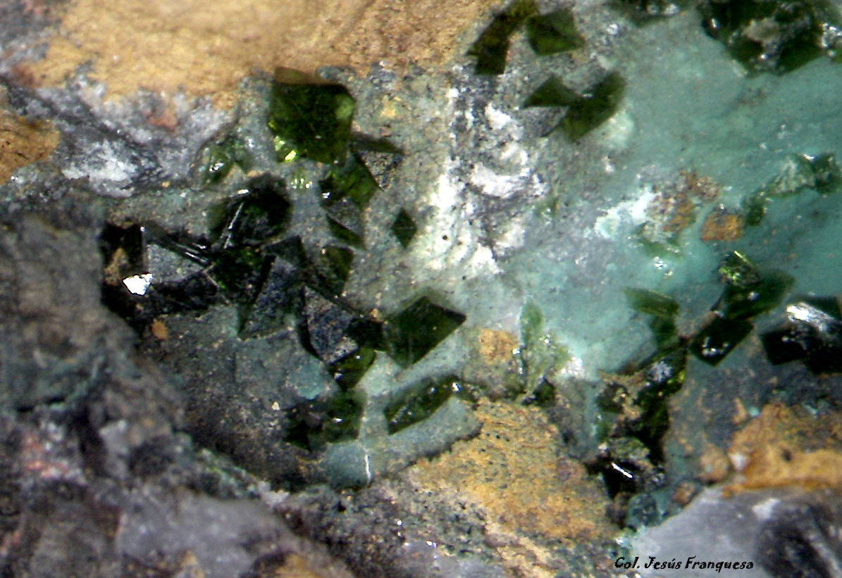 Libethenita.
5´787 x 3´489 mm.
(Autor: Jesus Franquesa Baucells)