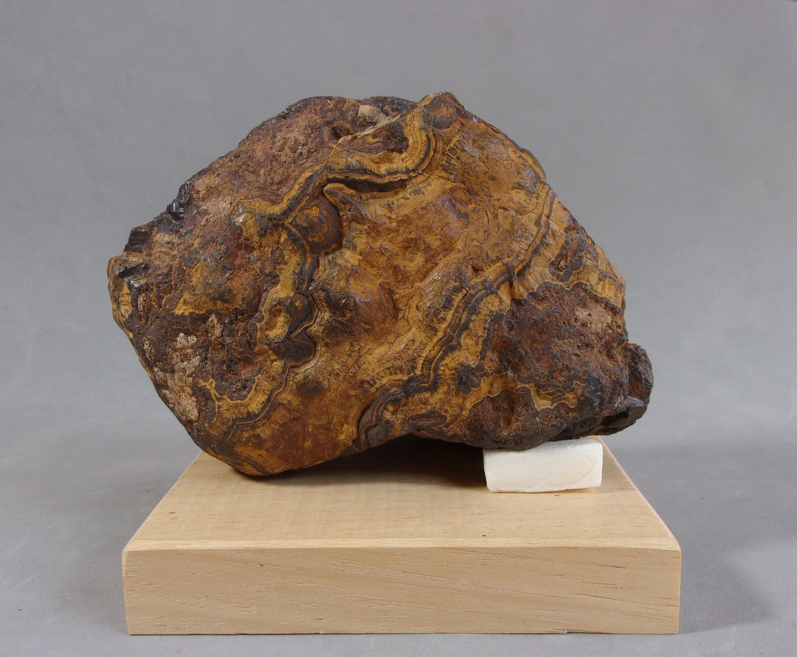 limonita
10 x 7 x 5,7 cm.
(Autor: J. G. Alcolea)