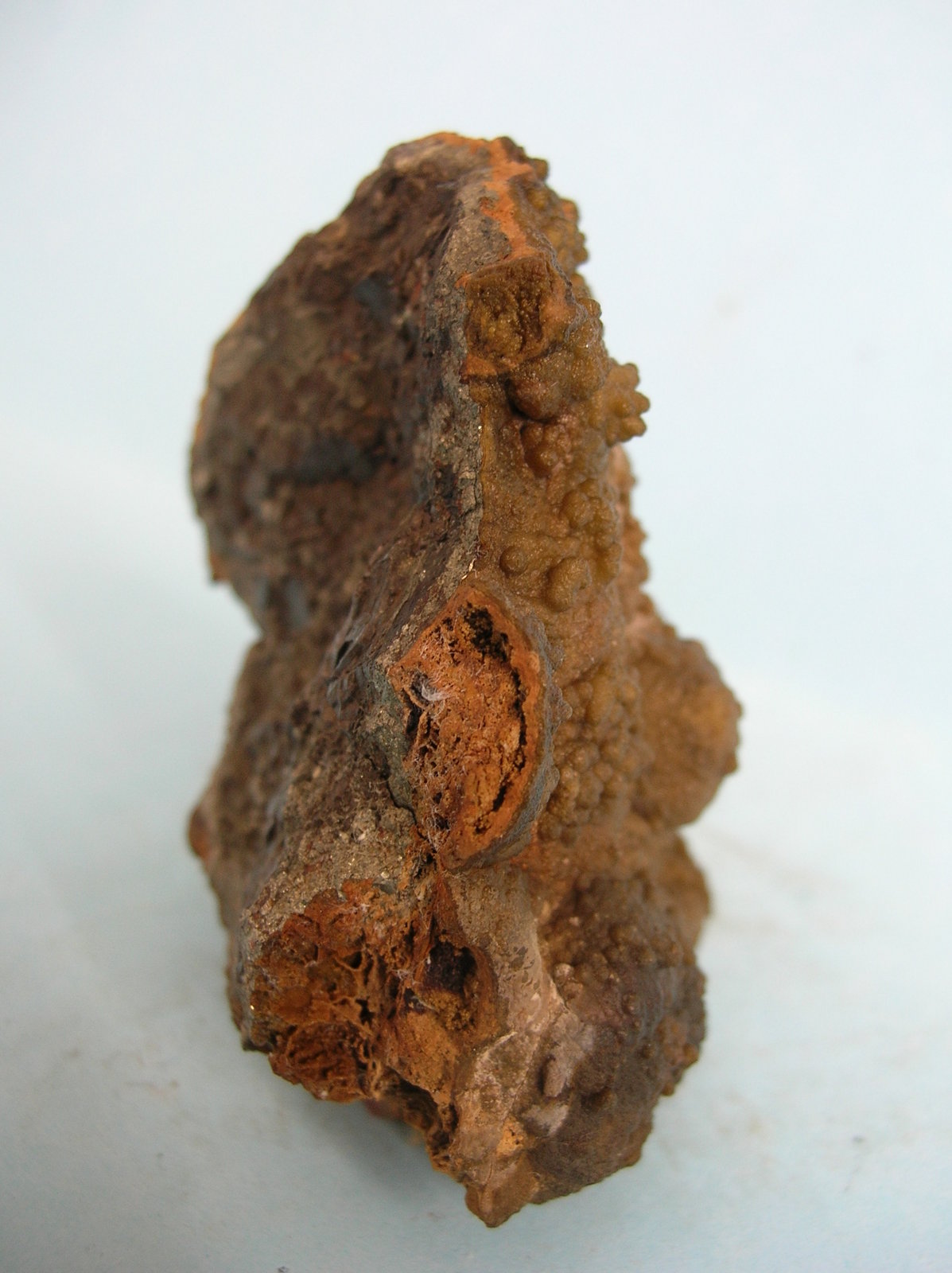 Pirita
6,5 x 6 cm
(Autor: Pedro Conesa)