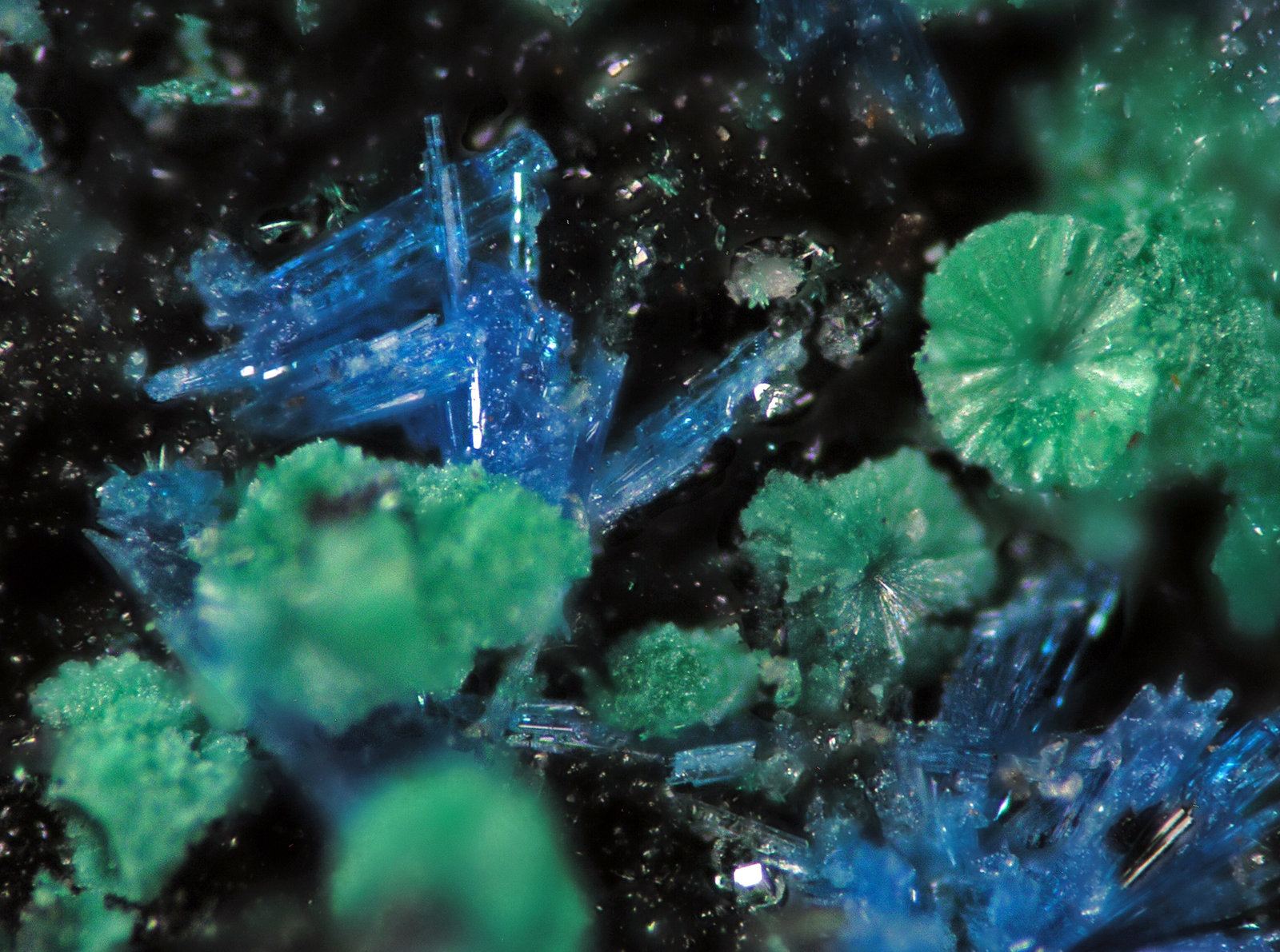 Linarita
FOV 0.5 cm
(Autor: Cesar M. Salvan)