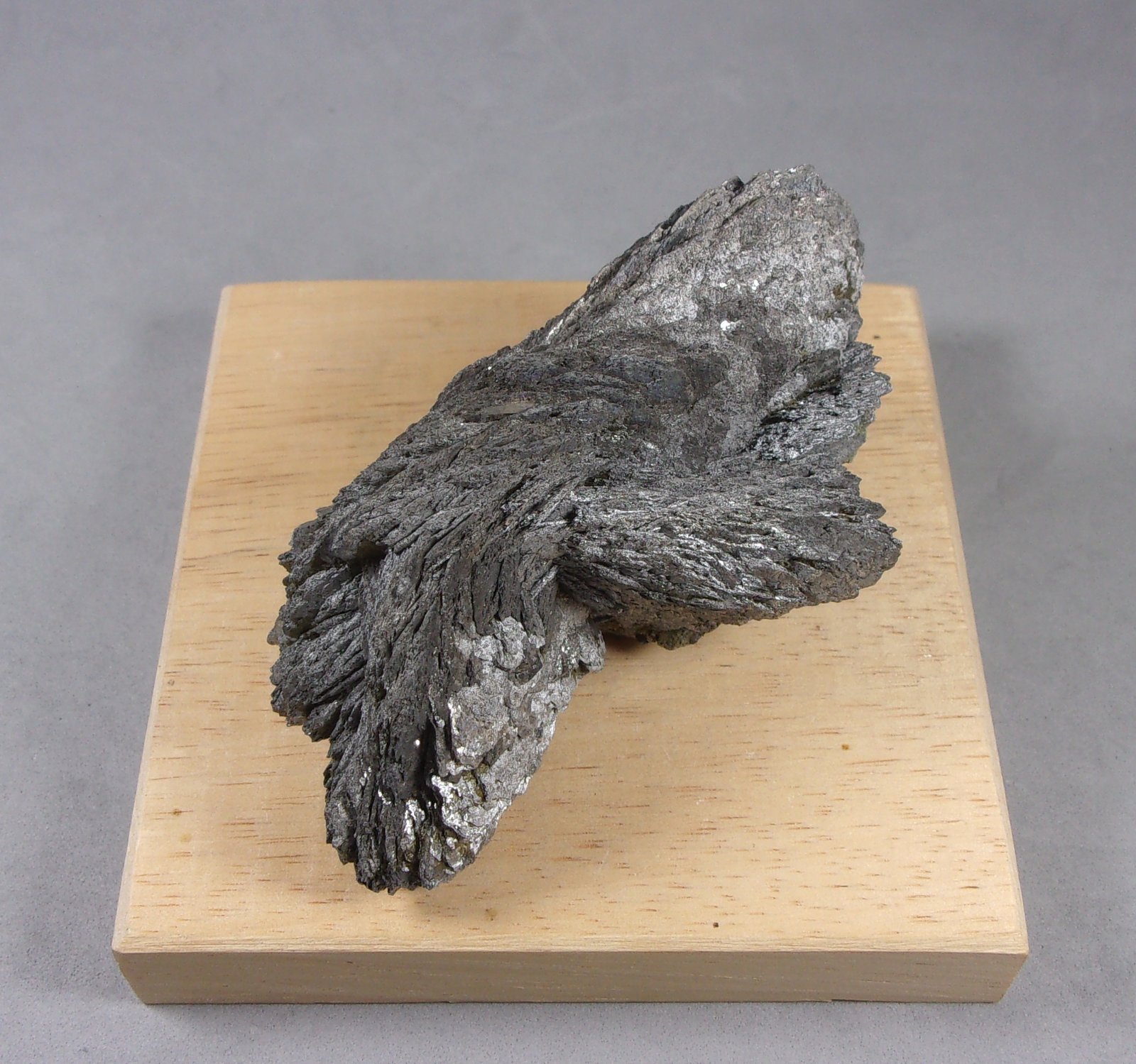 Löllingita
8 x 4,5 x 4 cm.
(Autor: J. G. Alcolea)