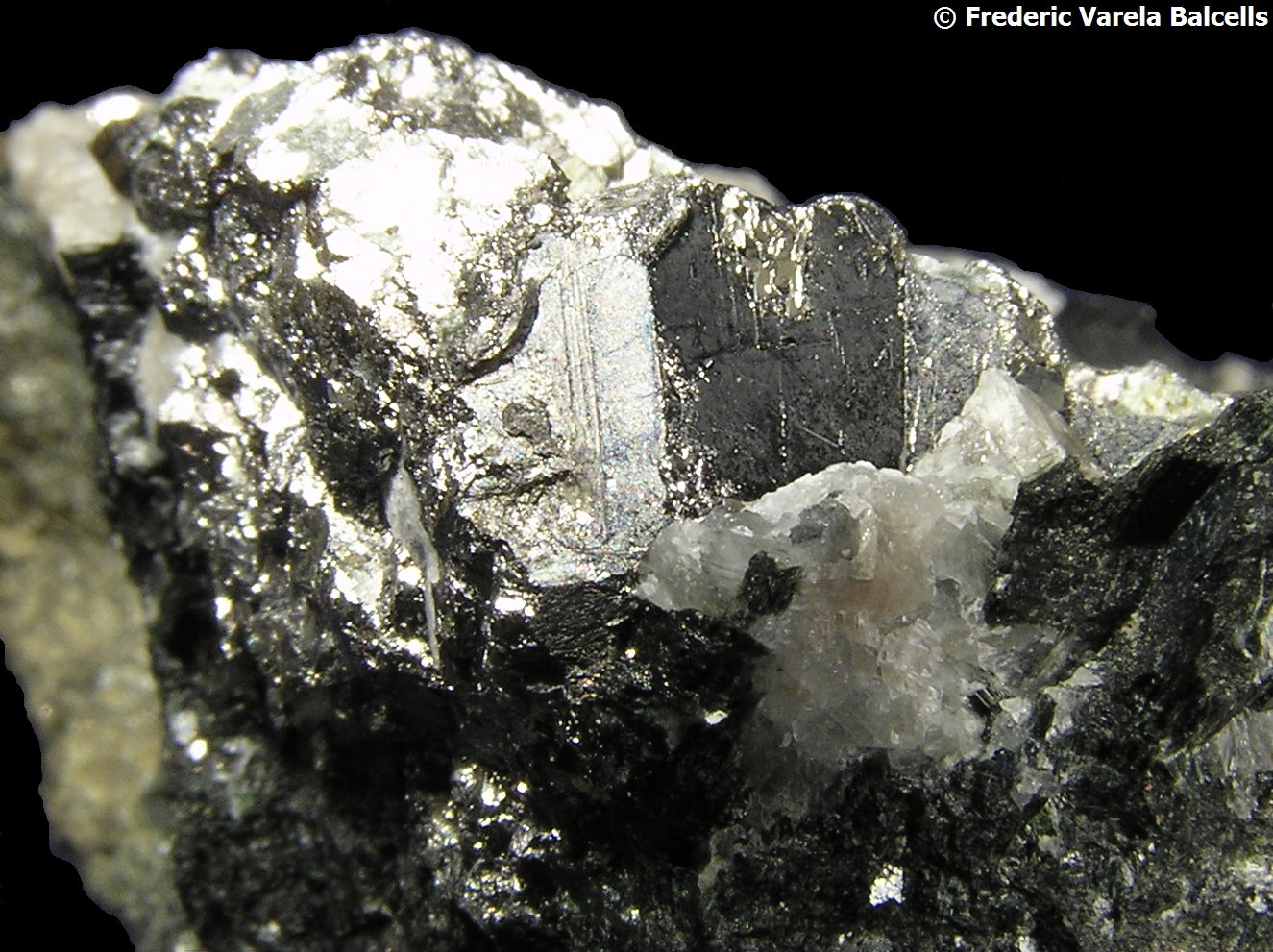 Löllingita
Cristal de 1 cm.
(Autor: Frederic Varela)