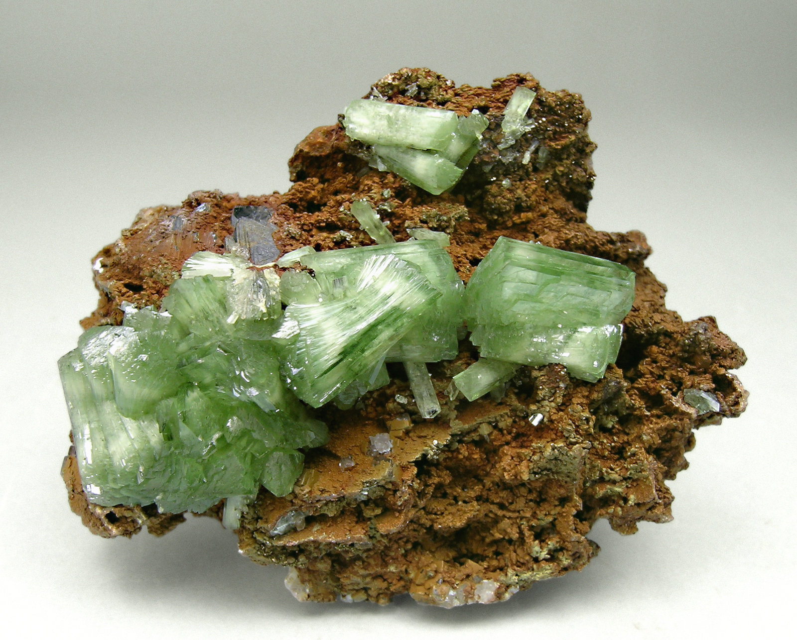 Ludlamita
5,5 x 4,2 x 3,2 cm.
(Autor: carles)