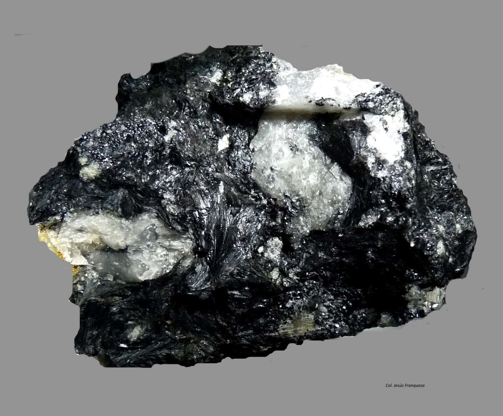 Ludwigita.
66x59 mm.
(Autor: Jesus Franquesa Baucells)