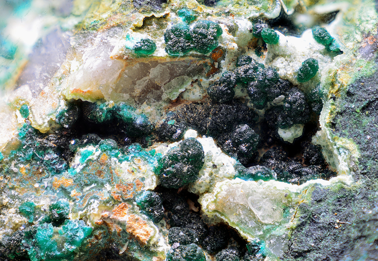 Pseudomalaquita
Campo de visión de 12 mm
(Autor: Antonio Carmona)
