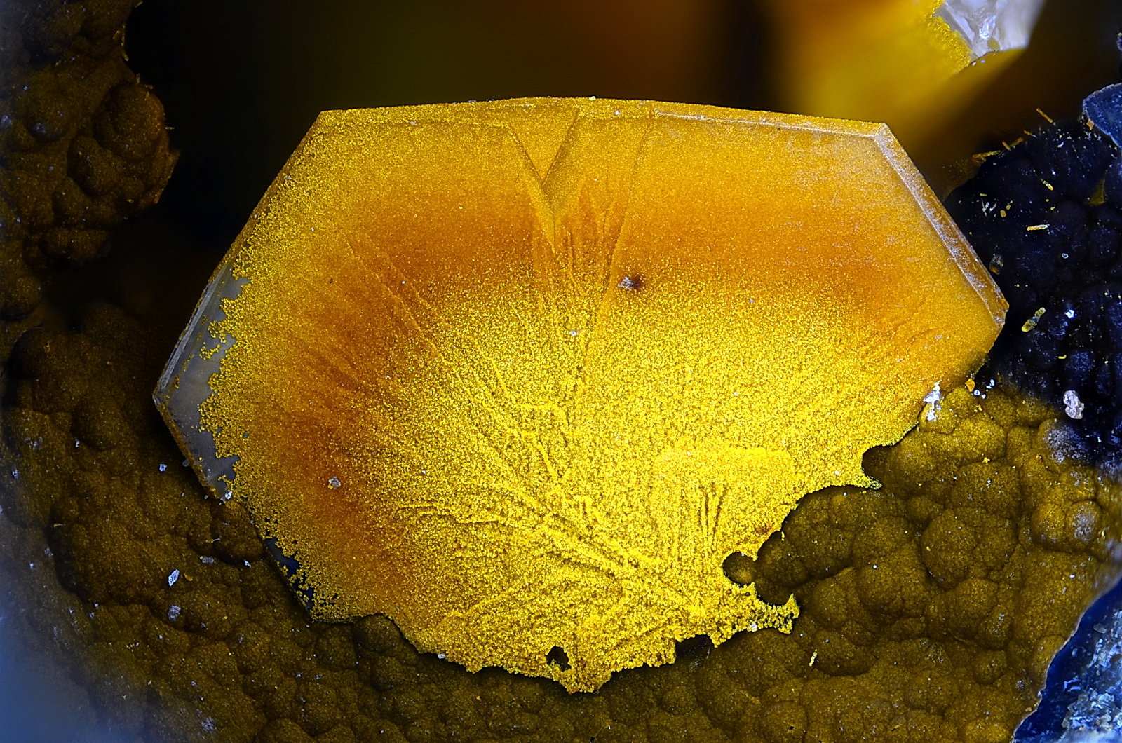 Lévyna.
Campo de visión 3,2 mm.
(Autor: Juan Miguel)