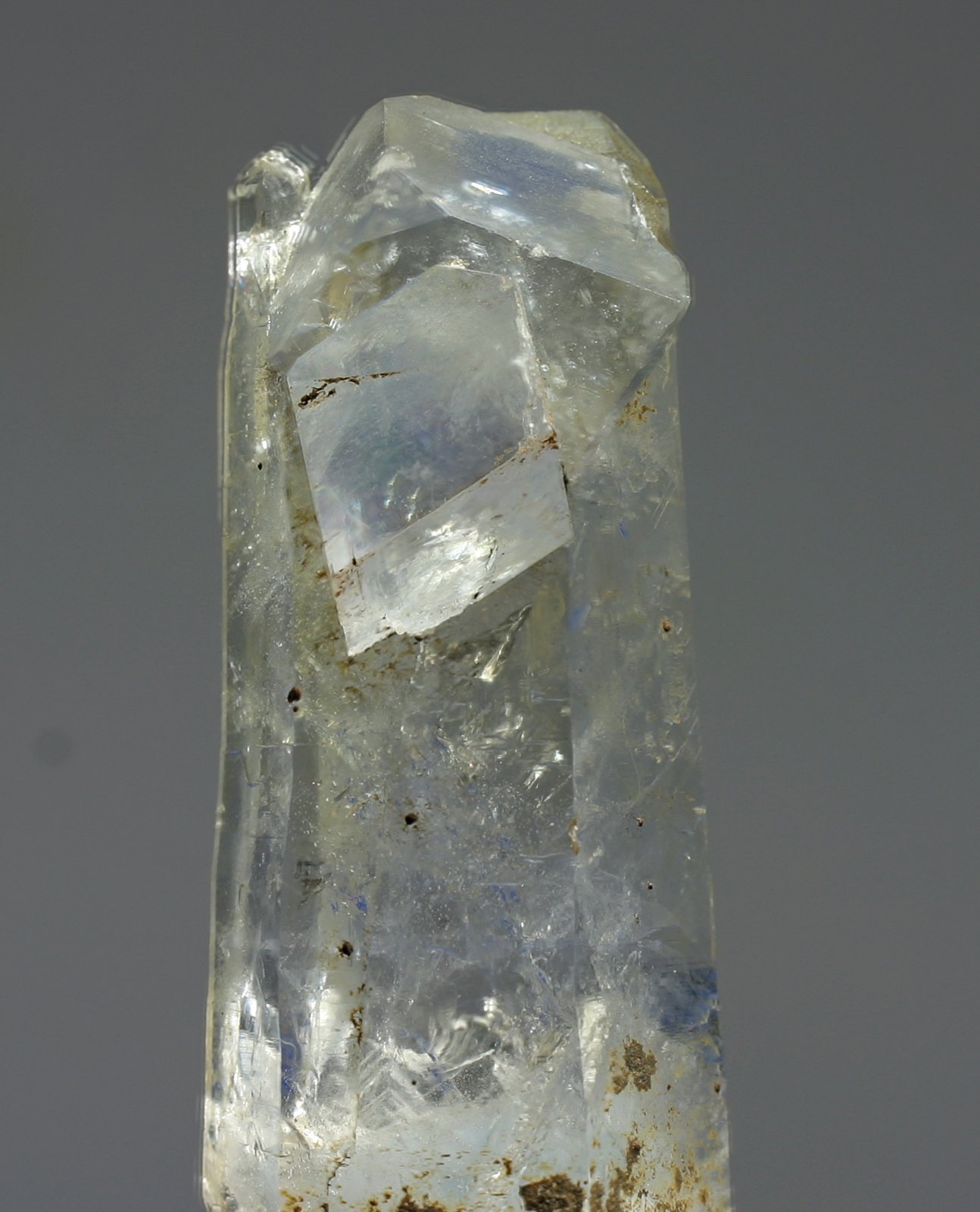 Magnesita
18x60 mm
(Autor: Ramon A  Lopez Garcia)