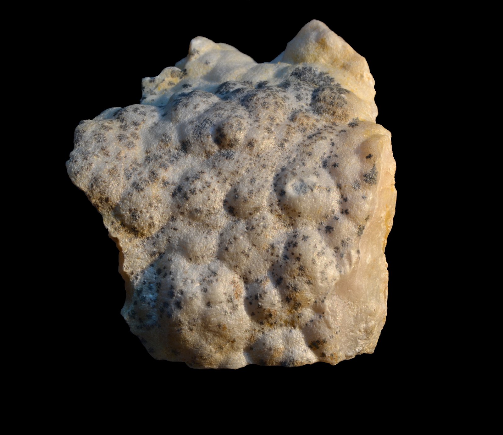 Talco
8 x 6 Cm.
(Autor: Quexigal)