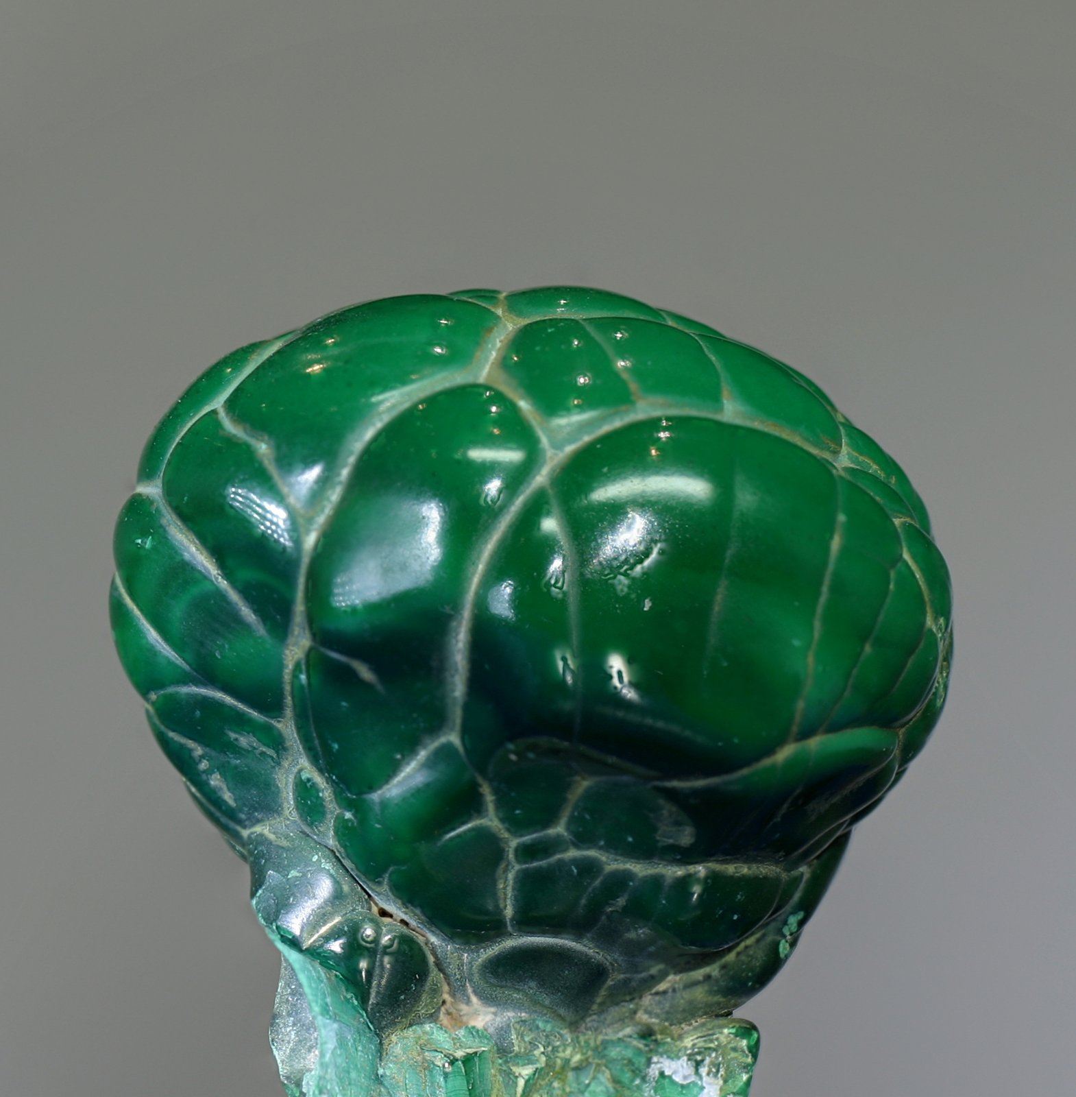 Malaquita
40x40mm
(Autor: Ramon A  Lopez Garcia)