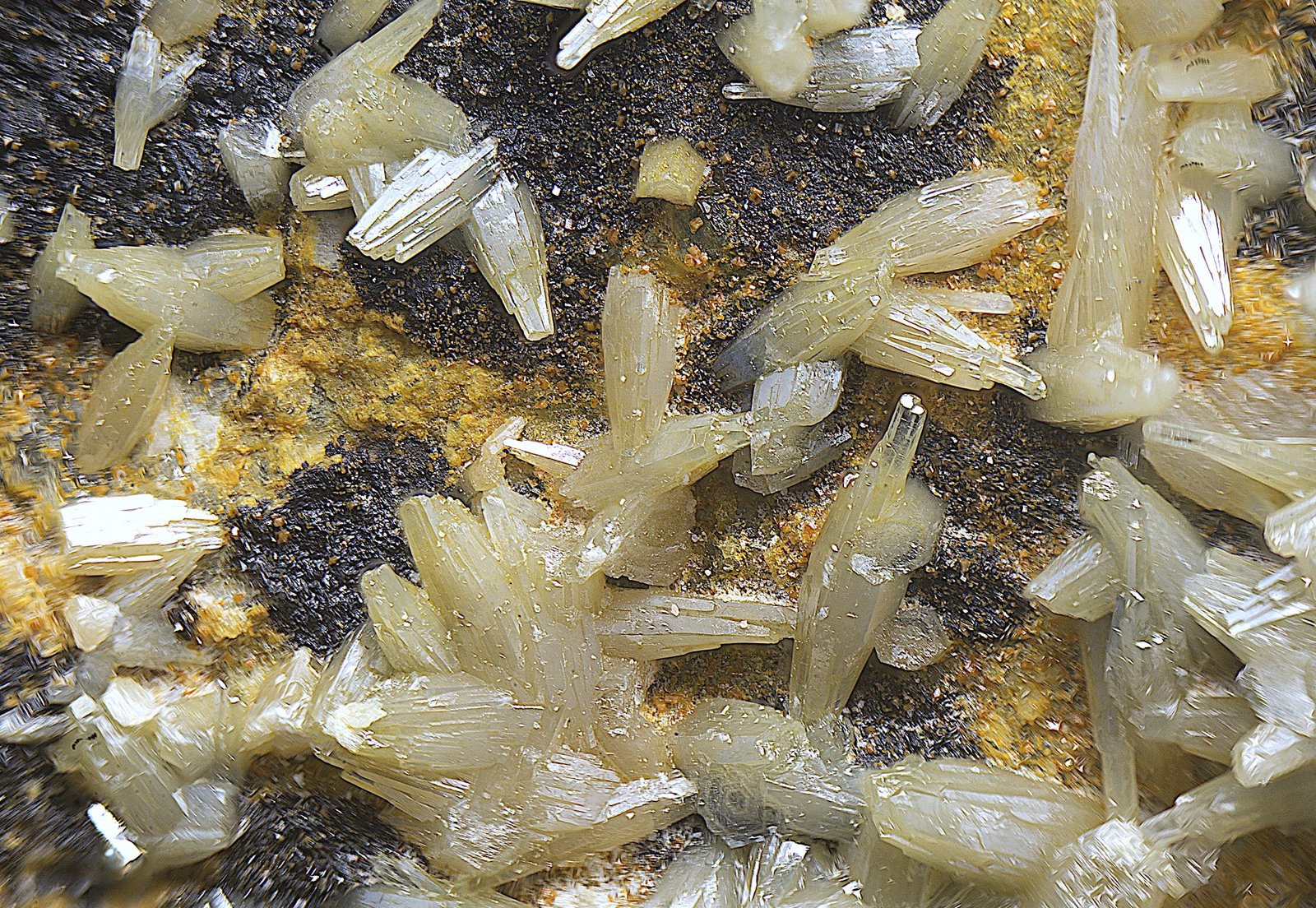 Vanadinita, descloizita y Calderonita
Campo de visión de 5 mm.
(Autor: Antonio Carmona)