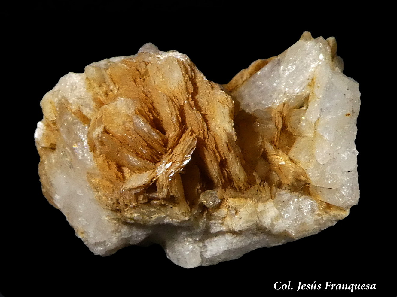 Magnesita.
28x16 mm.
(Autor: Jesus Franquesa Baucells)