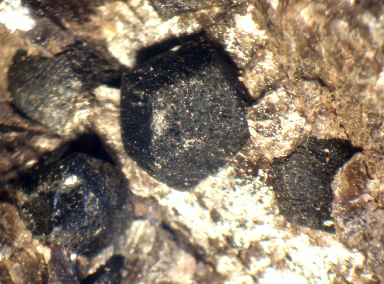 Magnesita
38 x 27 x 16 mm.
(Autor: José Luis Zamora)